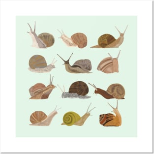 Snails Posters and Art